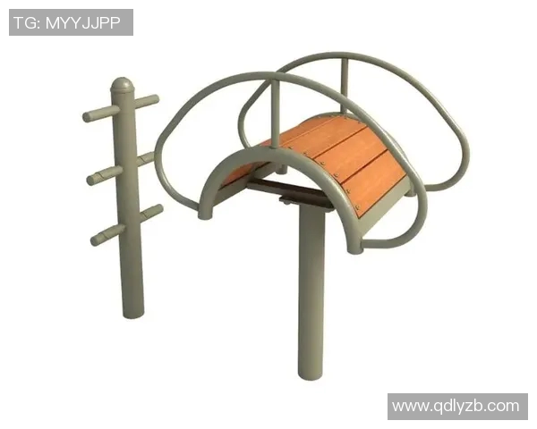 全面了解体育健身器材的种类选择与使用技巧助你高效锻炼提升身体素质